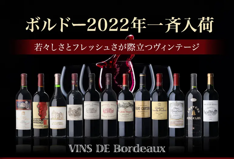 ボルドー2022VT