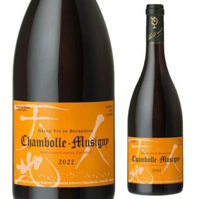 シャンボール・ミュジニー（Chambolle-Musigny）｜エレガントなピノ