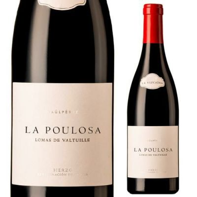 ラウル ペレス（Raul-Perez）｜自然派アプローチのスペイン名匠